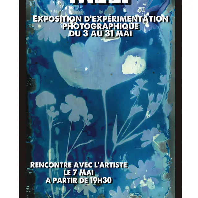 affiche MELI.jpg