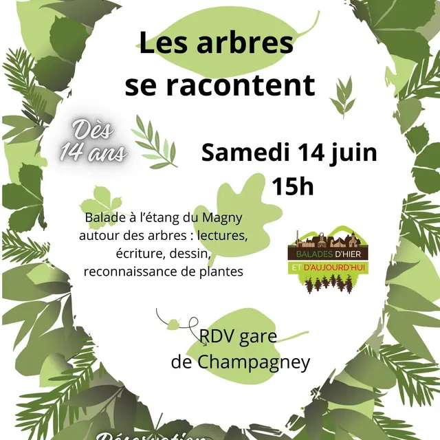 affiche_balade_arbres