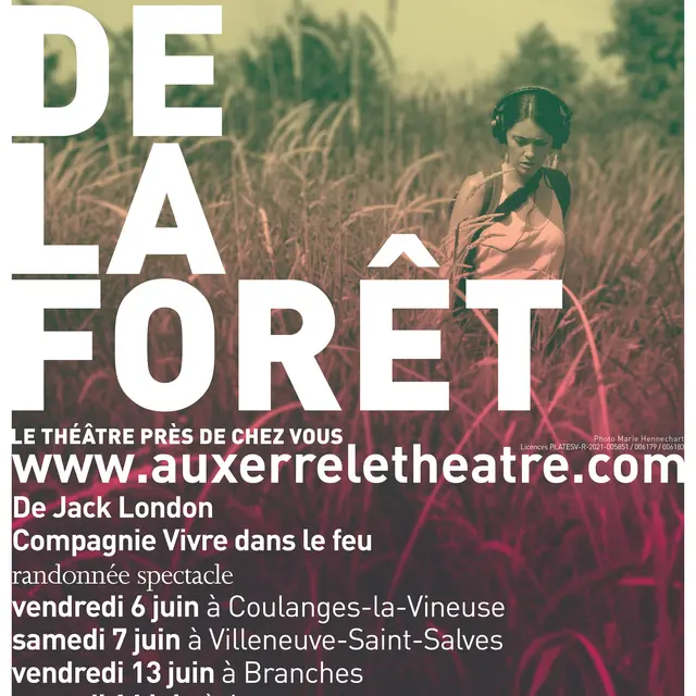 L'Appel de la forêt