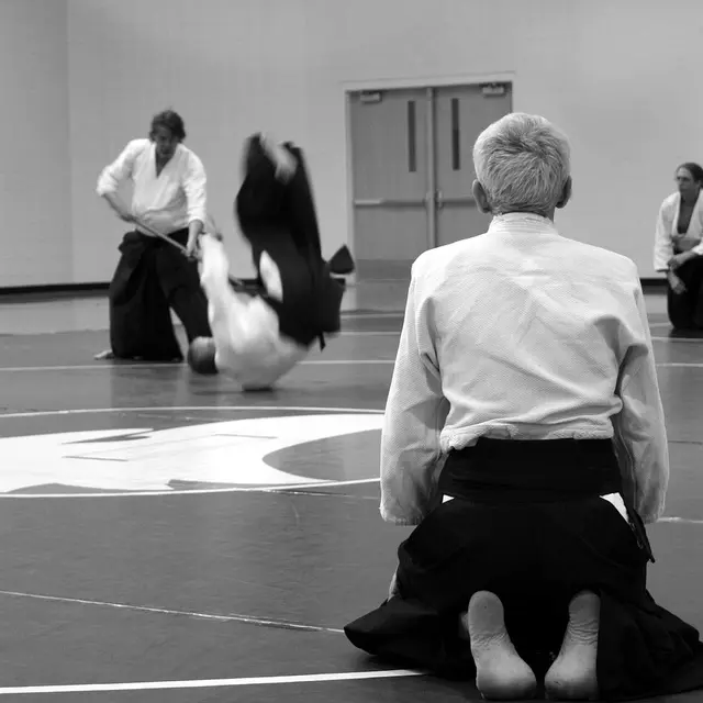 aikido-362951_1280