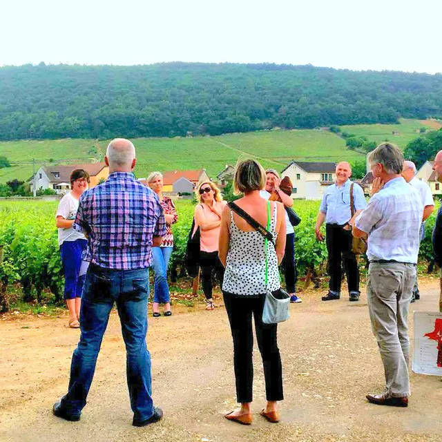 balade dans les climats de Gevrey-Chambertin ou Marsannay