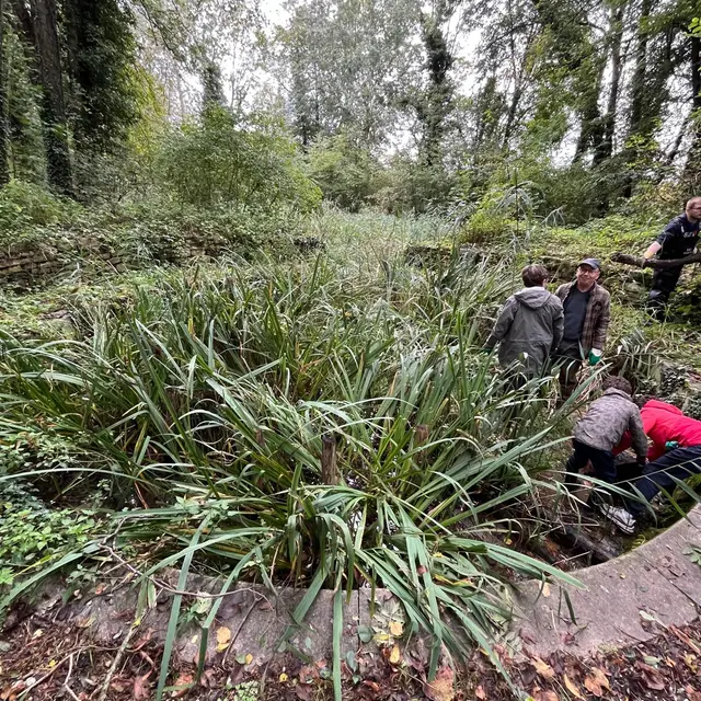 bassin rond avant 2 - 12.10.2024 - Arborescence