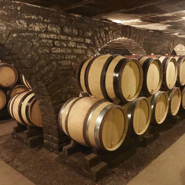 Cave Domaine Besancenot