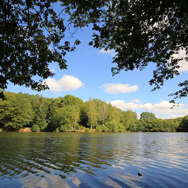 c4c054b0b810d44f667a033ab05bb818-DPP-00077-1600x900