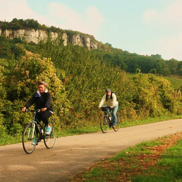 Bike and wine tour