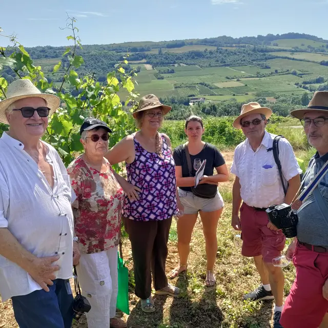 En vigne vers les falaises