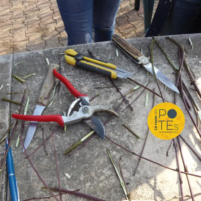 Atelier greffage