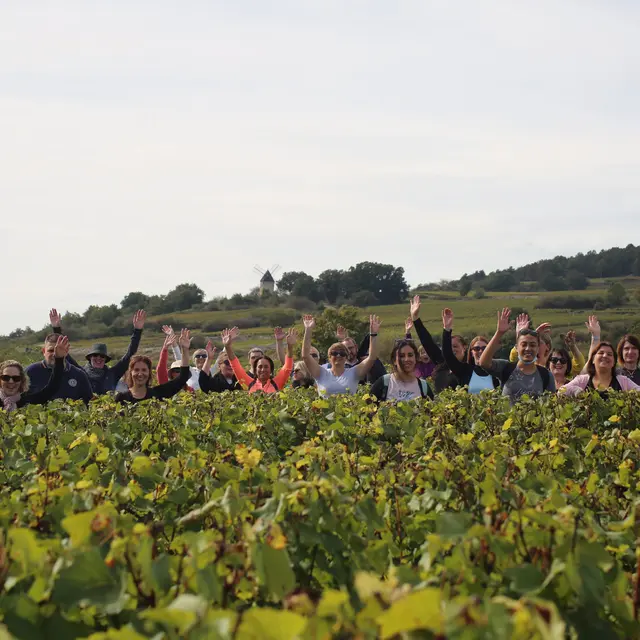 groupe-vigneS