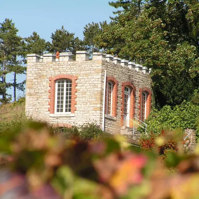 domaine 7
