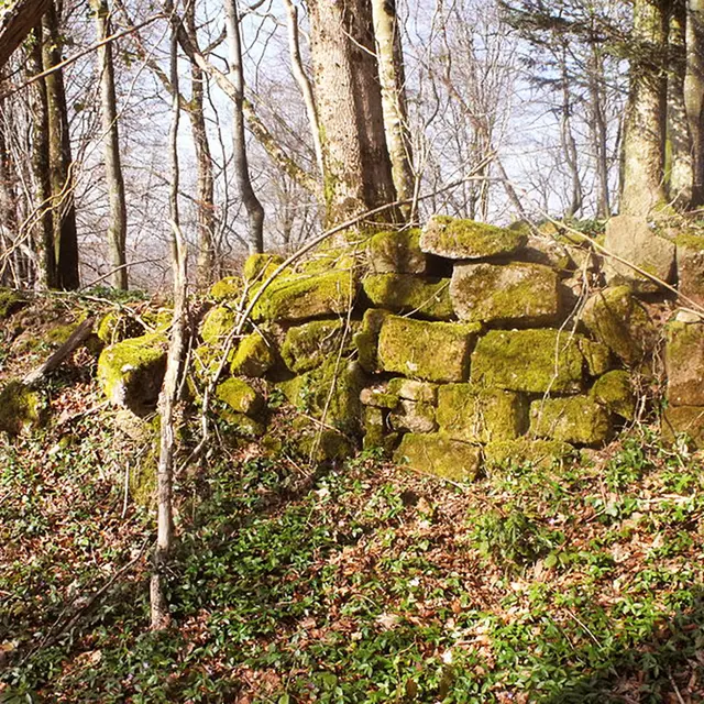 Ruines du Château d'Etobon