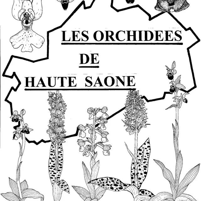 exposition orchidées 07 mars VILLERSEXEL