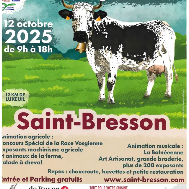 foire st bresson
