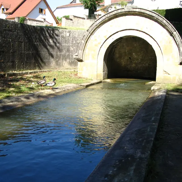 fontaine larie bis