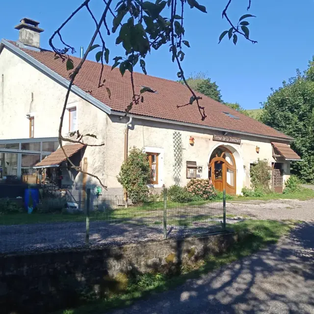 façade jonchee 25 08 25