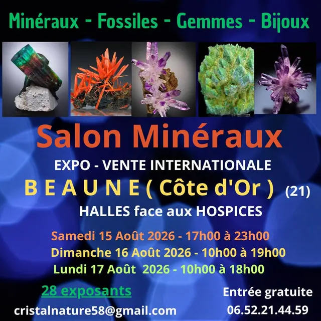 salon minéraux Beaune