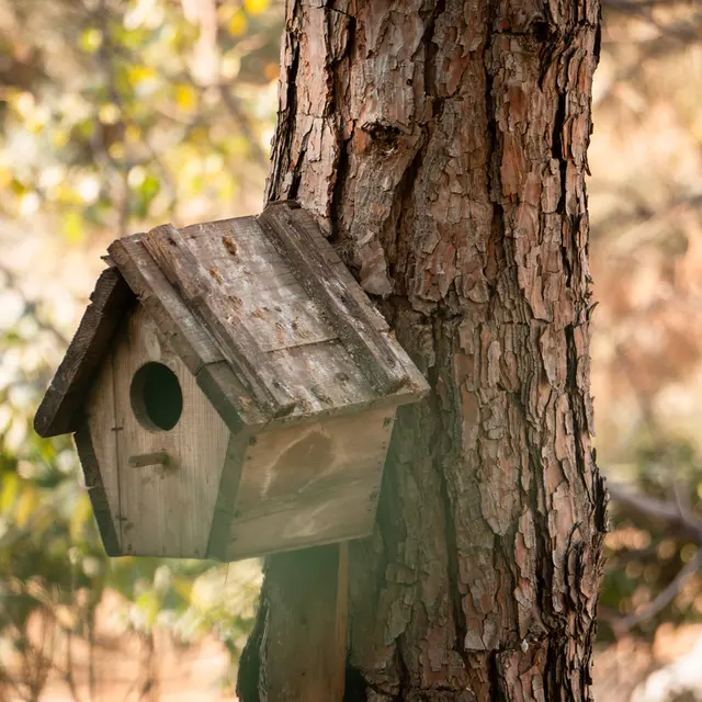 Création d'un nichoir et d'un mangeoir à oiseau - ACtivité famille à la Cité
