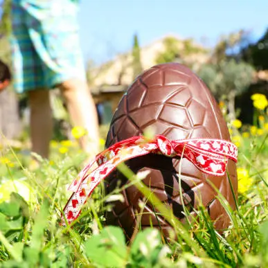 istockphoto-2022078196-612x612