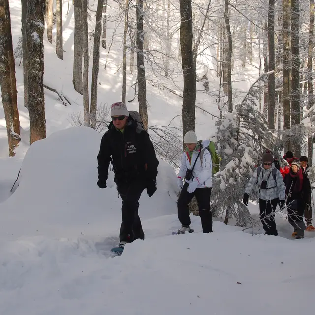 laplanche-raquettes2-EWrobel