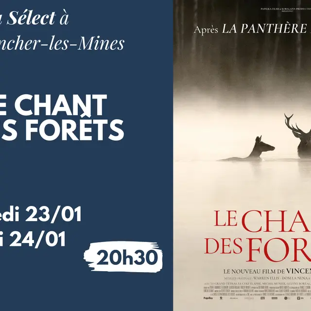 Janvier février 2026 - le chant des forets