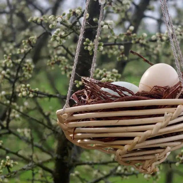 le_lieu_des_loups_nid_de_paques_2