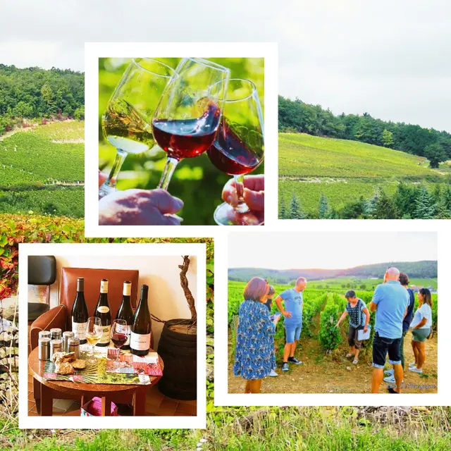 les ateliers de la vigne et du vin