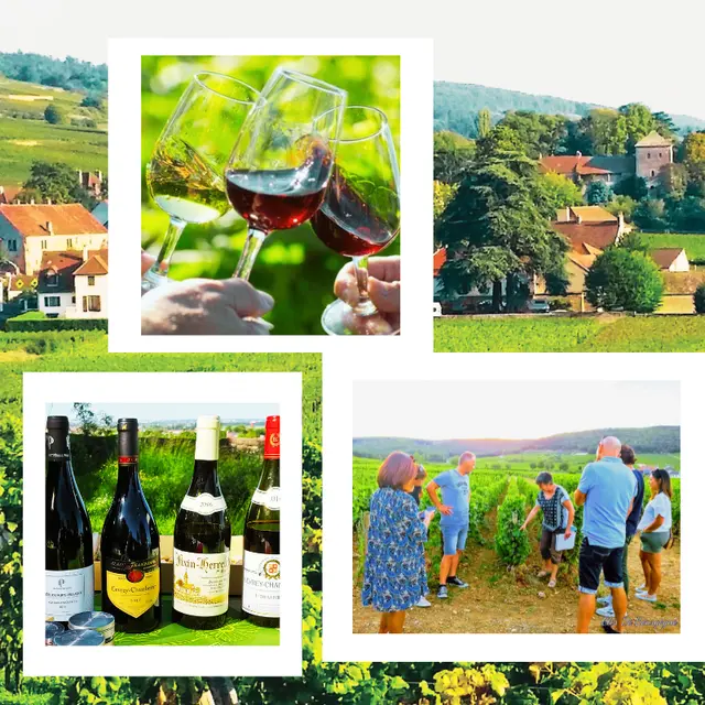 les ateliers de la vigne et du vin -