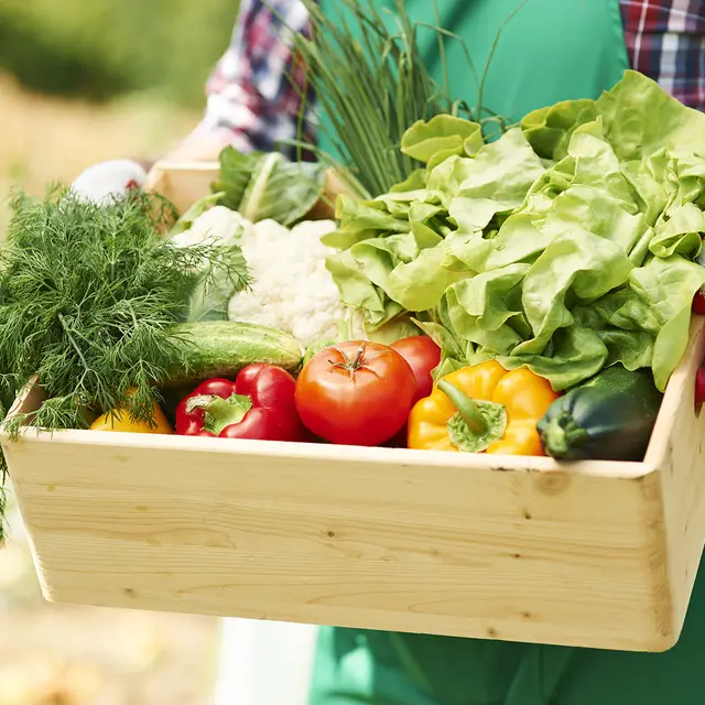 maraicher prairie Mercey