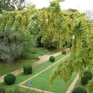 muséum auxerre