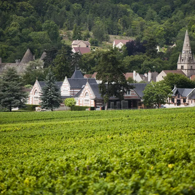 Savigny les Beaune