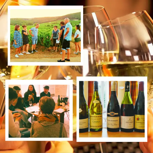 masterclasvigne-dégustation- et- oenologie-vigne et -du- vin - 9