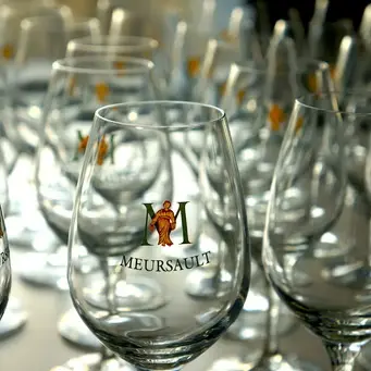 Dégustation Historie archives et vins