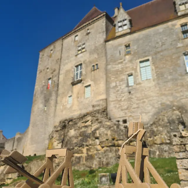 photo catapulte 2- Audrey Bligny