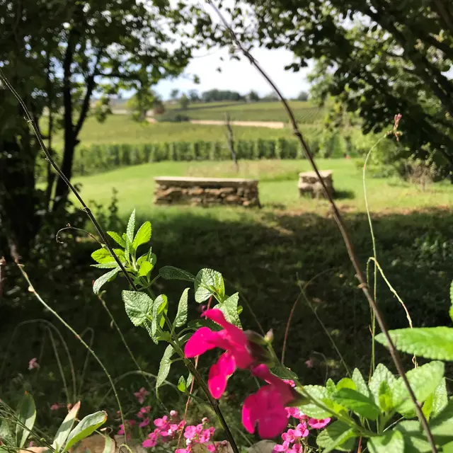 Le jardin olfactif et la vigne des Petits Charrons à Meursault