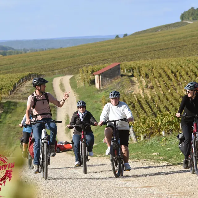 Promenade en groupe dans l'Auxerrois