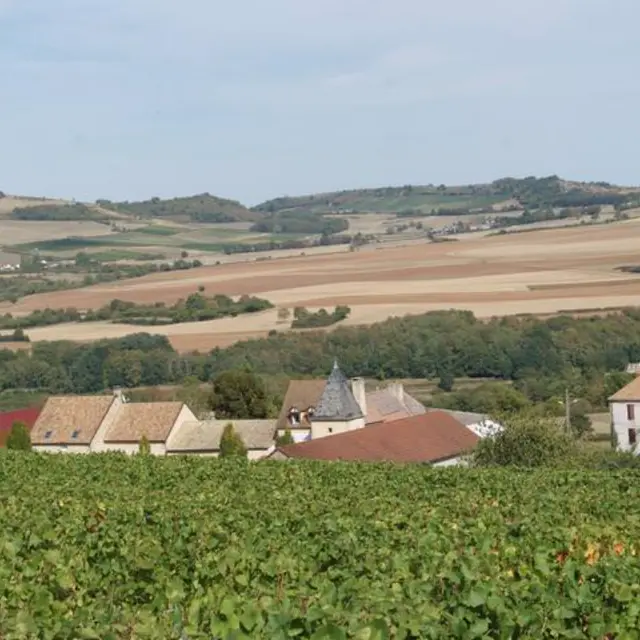 Paysage extérieur
