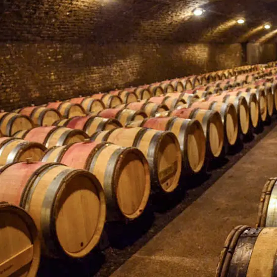 photo-visite-de-caves-cote-beaune