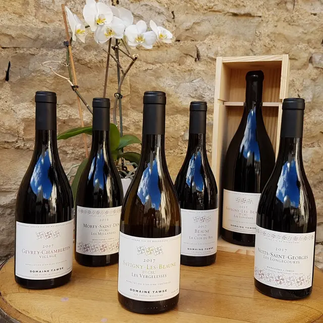 photos présentation de bouteille