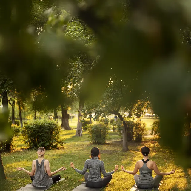 pleine-photo-femmes-meditant-a-l-exterieur