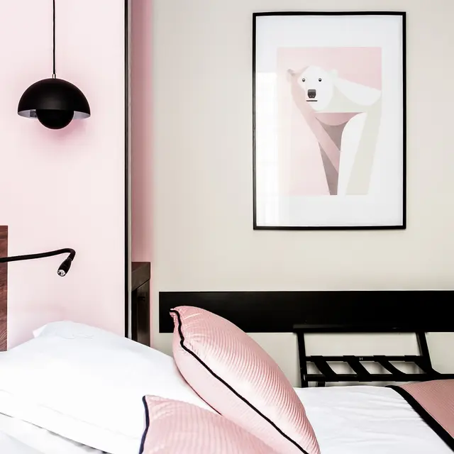 CREDIT PHOTO JULIEN FAURE. Mention du nom obligatoire. Cession de droit pour le Chapeau Rouge. Me contacter pour toute autre utilisation.