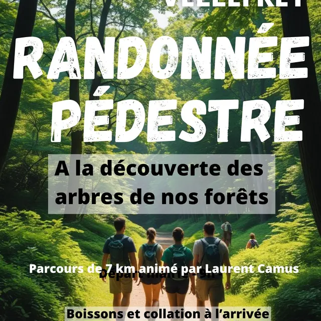 rando des forêts