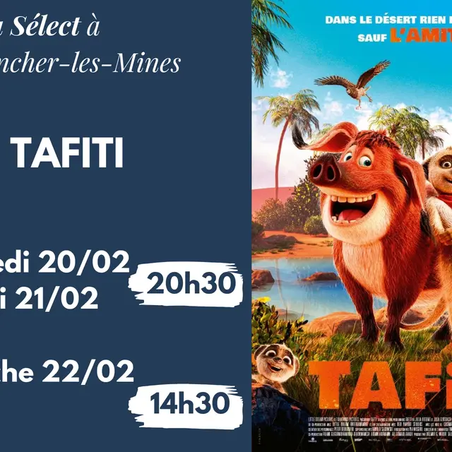 Janvier février 2026 - tafiti