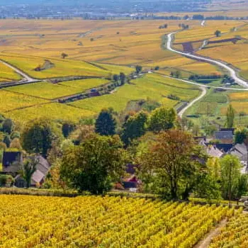 vignoble-autour-de-beaune-tourisme-bourgogne-540x350