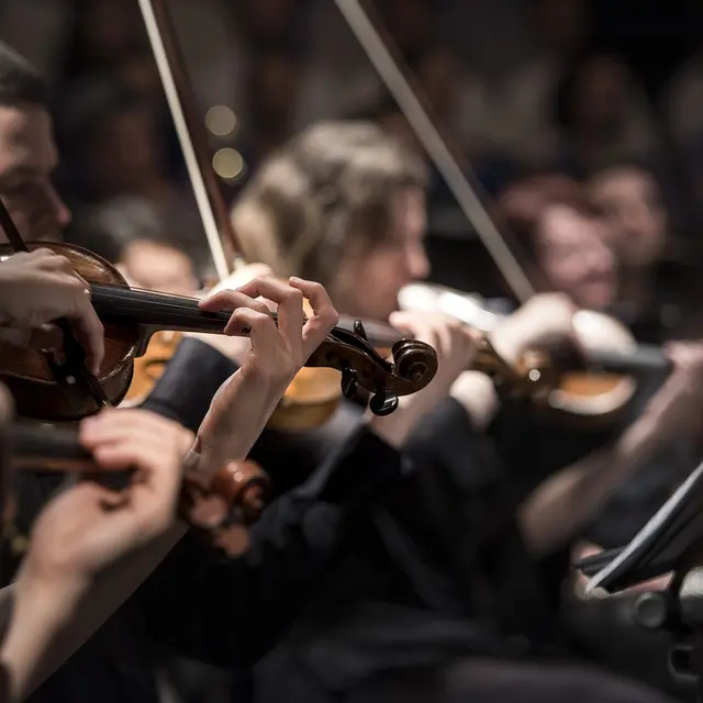 violins-1838390_1280