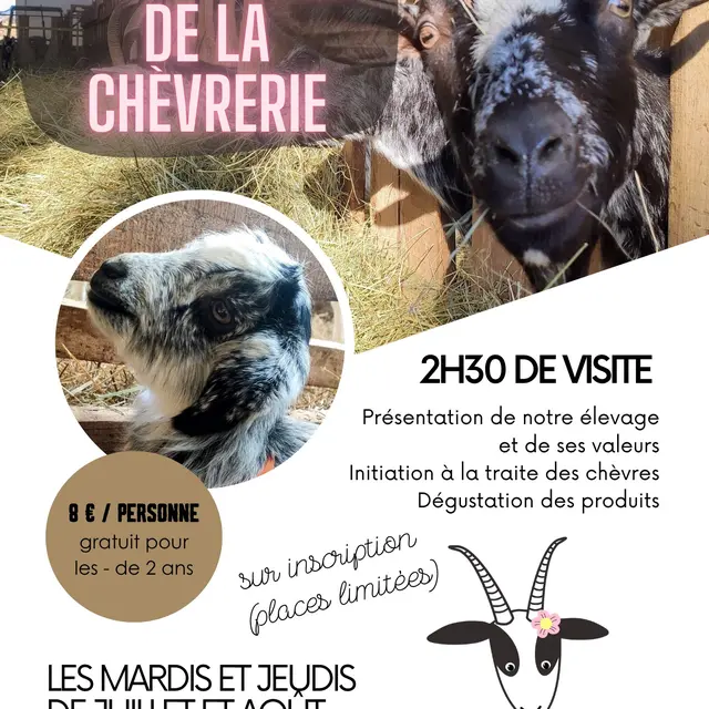 visite guidée chèvrerie