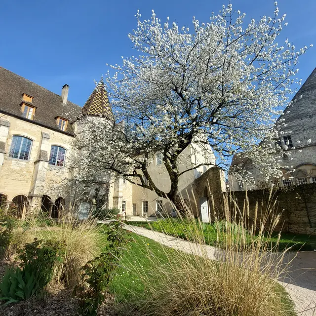 cloître N.Dame