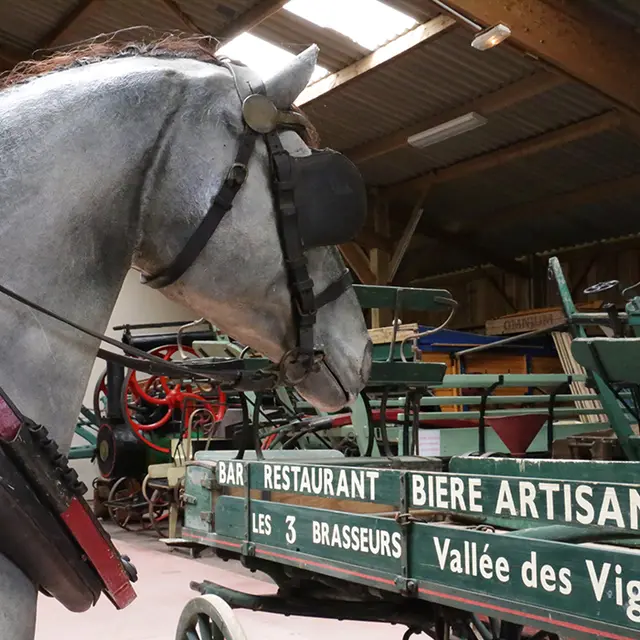 Musee-cheval2-2