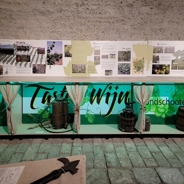Musee des vendanges JP Pinceel HDS - Mars 24 EQ