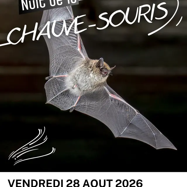 28 aout 2026 À partir de 20h. NDLCS - 1