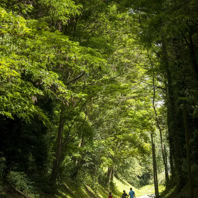 Aulnoy-chemin-pavé-HD-13