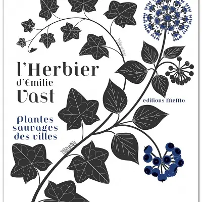 exposition-emilie-vast-agenda-valenciennes-tourisme